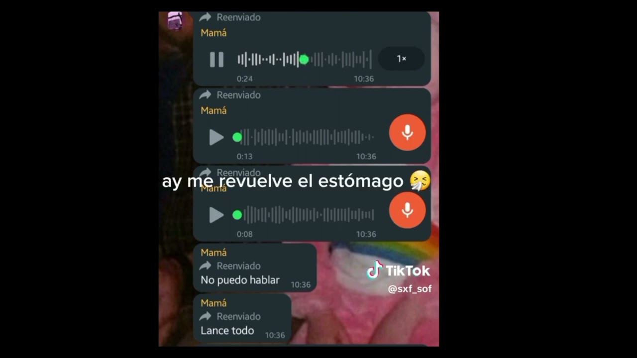 audio de los porotos  #audioviral