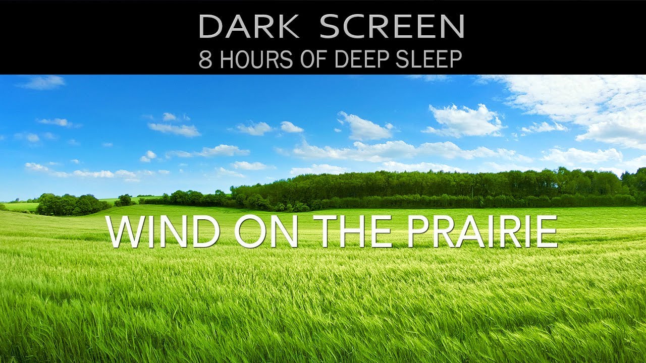 🌬️ Wind on the Prairie 🌾 Sounds of Wind Blowing over Tall Grass Field - 8 Hours Black Screen No Ads