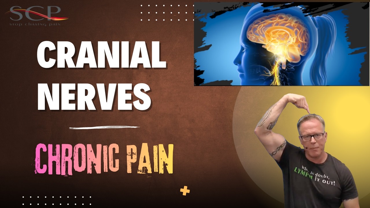 Cranial Nerves and Chronic Pain/Inflammation