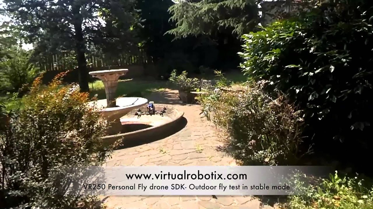 VRX 250 Personal Fly Robot SDK By Virtualrobotix