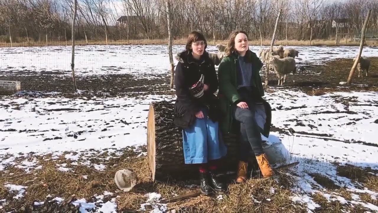 Із-за гори та ще й з-за лиману