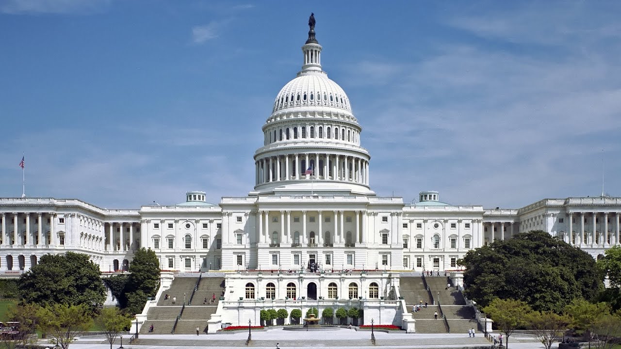 Role of Congress in International Crises Preview