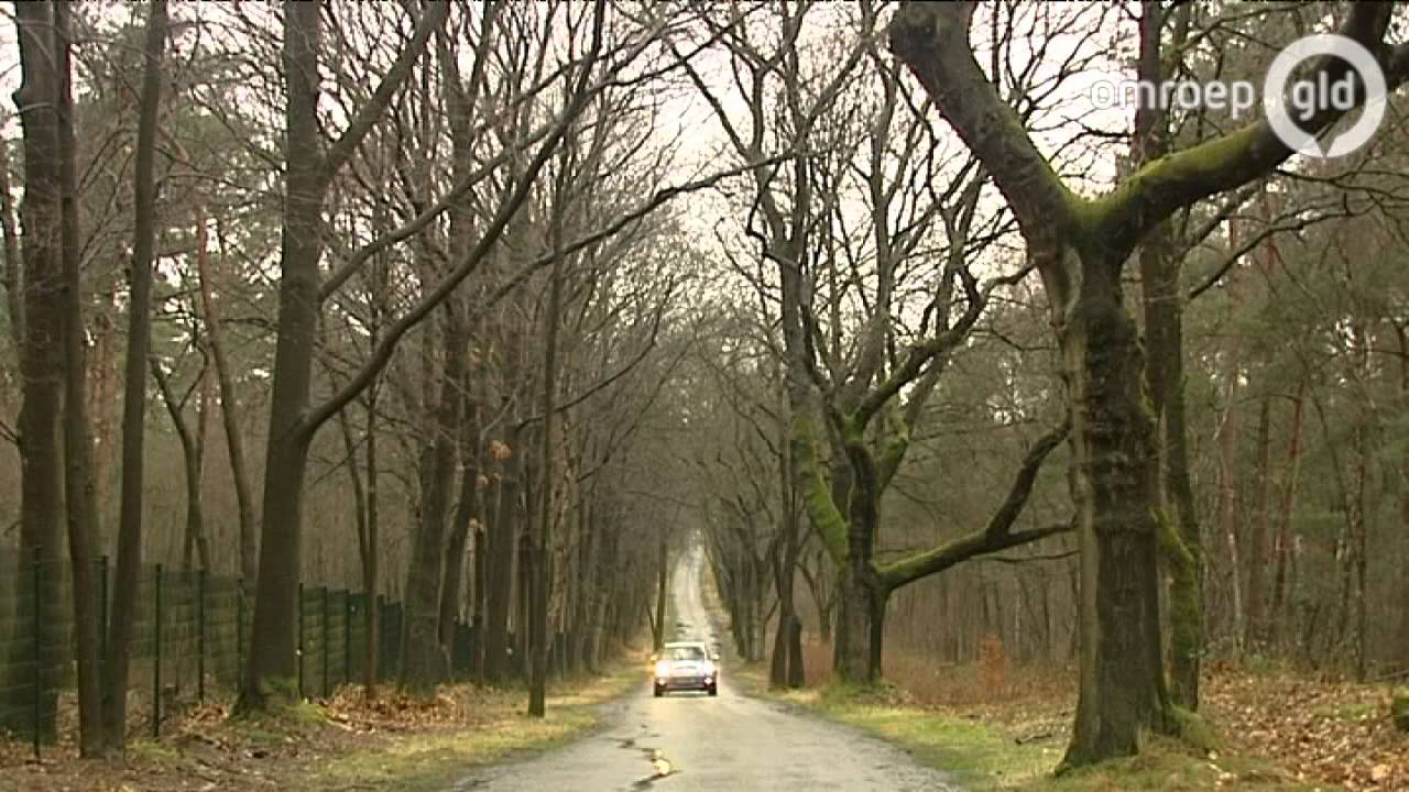 Gelderse koppen  1 maart 2014