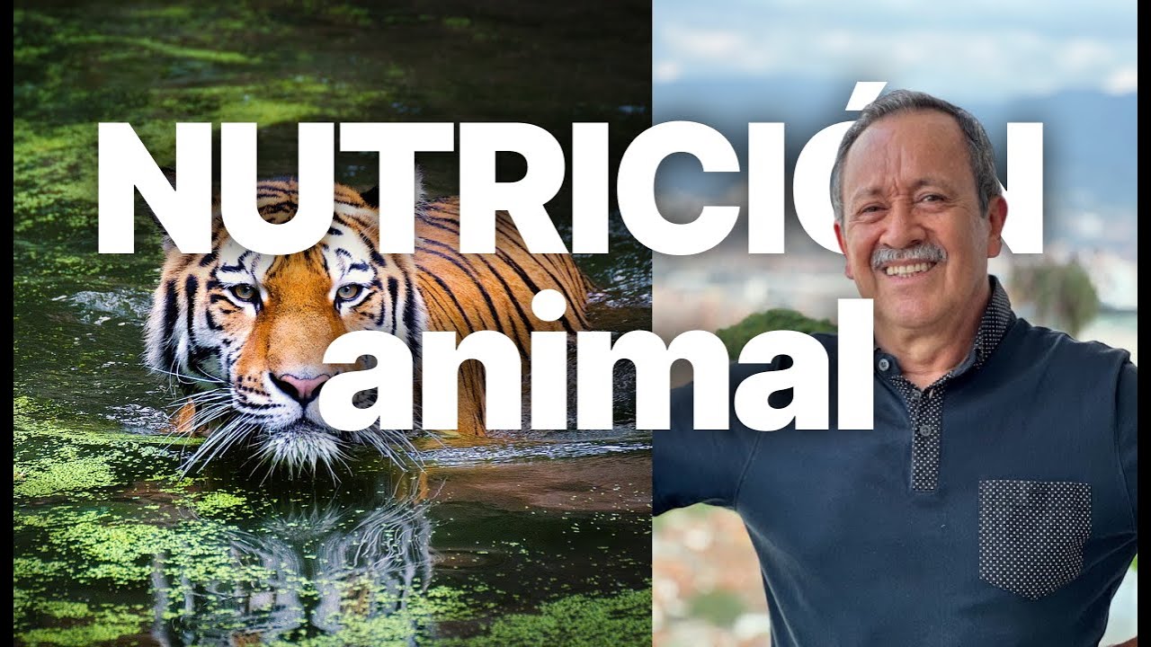 ¿QUÉ ES LA NUTRICIÓN ANIMAL?