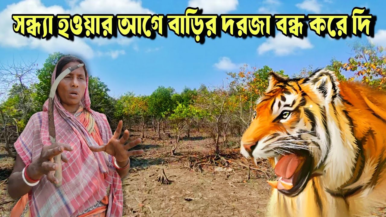 বাঘের ভয়ে সন্ধ্যার আগে বাড়ির দরজা জানালা বন্ধ করে দি😲// tiger attack in Sundarban