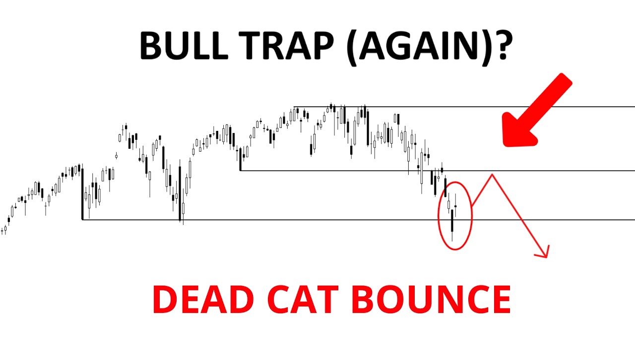 Technical Analysis of Stocks: SPY / QQQ / NVDA / TSLA / AMD / PLTR / AVGO / MU