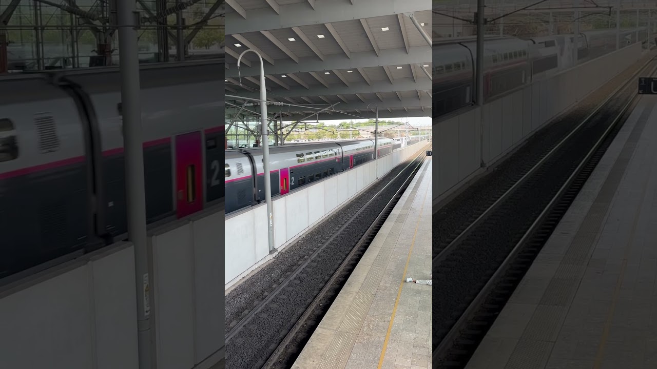 Passage d&rsquo;un TGV en gare de Aix-en-Provence TGV #sncf #train #trainspotting #tgv