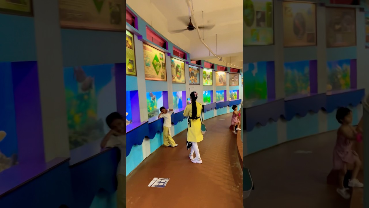 Beautiful Evening at Science City Park | Kolkata Travel Vlog #kolkatatourism