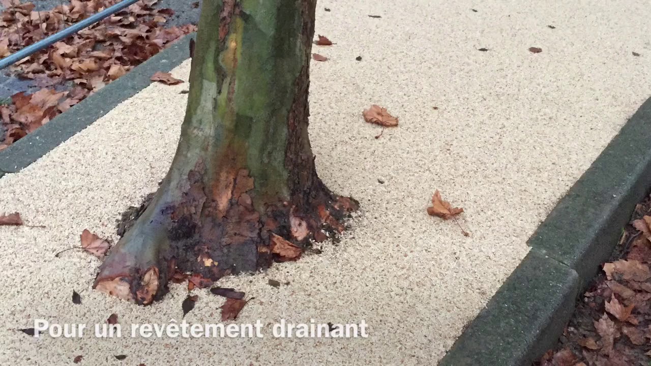 ENTOURAGE D'ARBRE DRAINANT - ETD - MOQUETTE DE PIERRE RÉSINE ET MARBRE  - CHANTIER 30