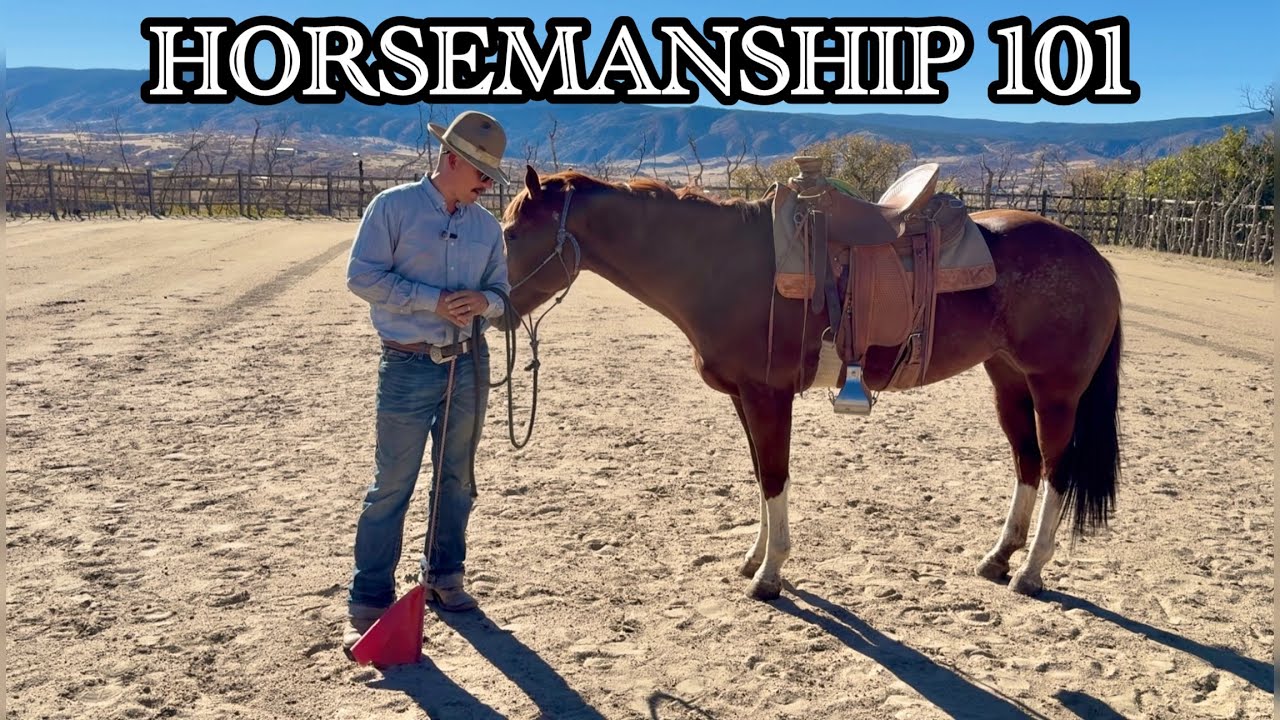 Horsemanship 101 | Building The Alphabet With Your Horse