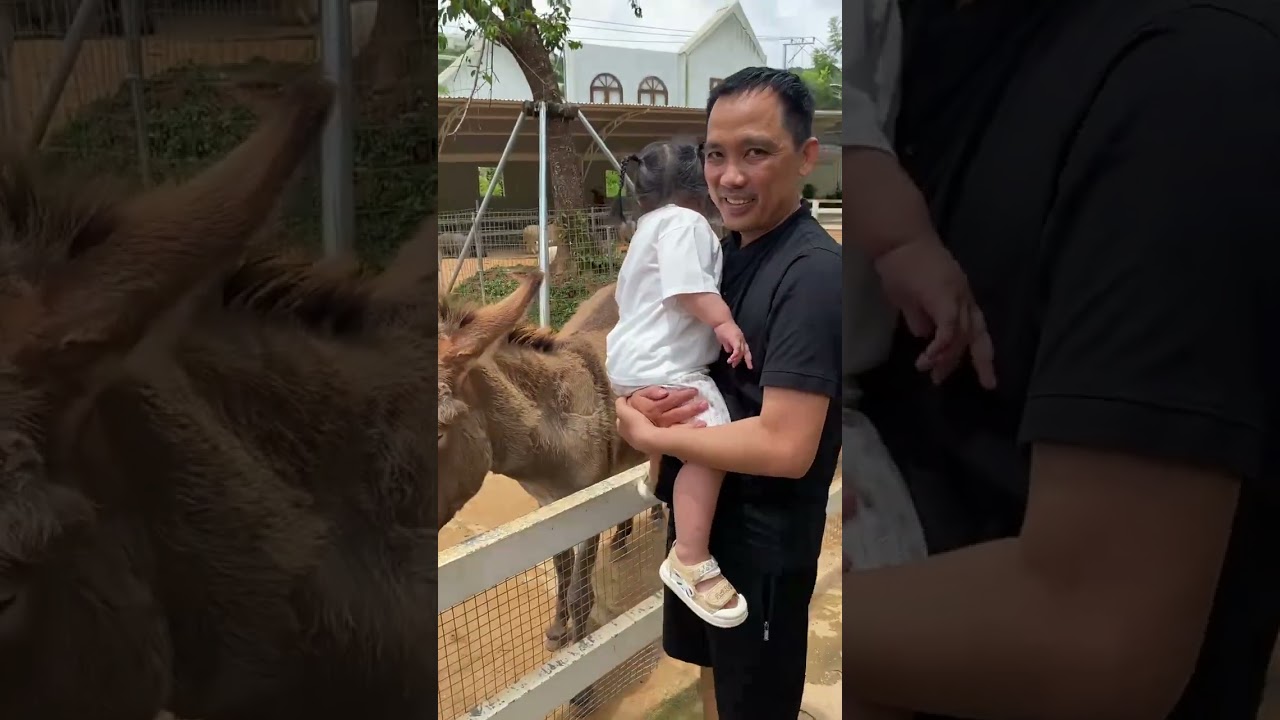 DÂU TÂY ĐI DẠO VƯỜN NHIỆT ĐỚI #cute #baby #funny #videoyoutube 