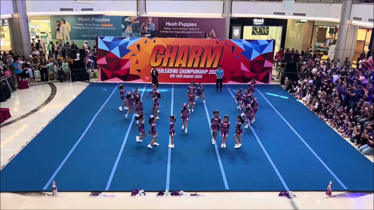 LITTLE LYNX C3 2025 PEEWEE LEVEL 1 (CHARM CHEERLEADING CHAMPIONSHIP) FULL ROUTINE