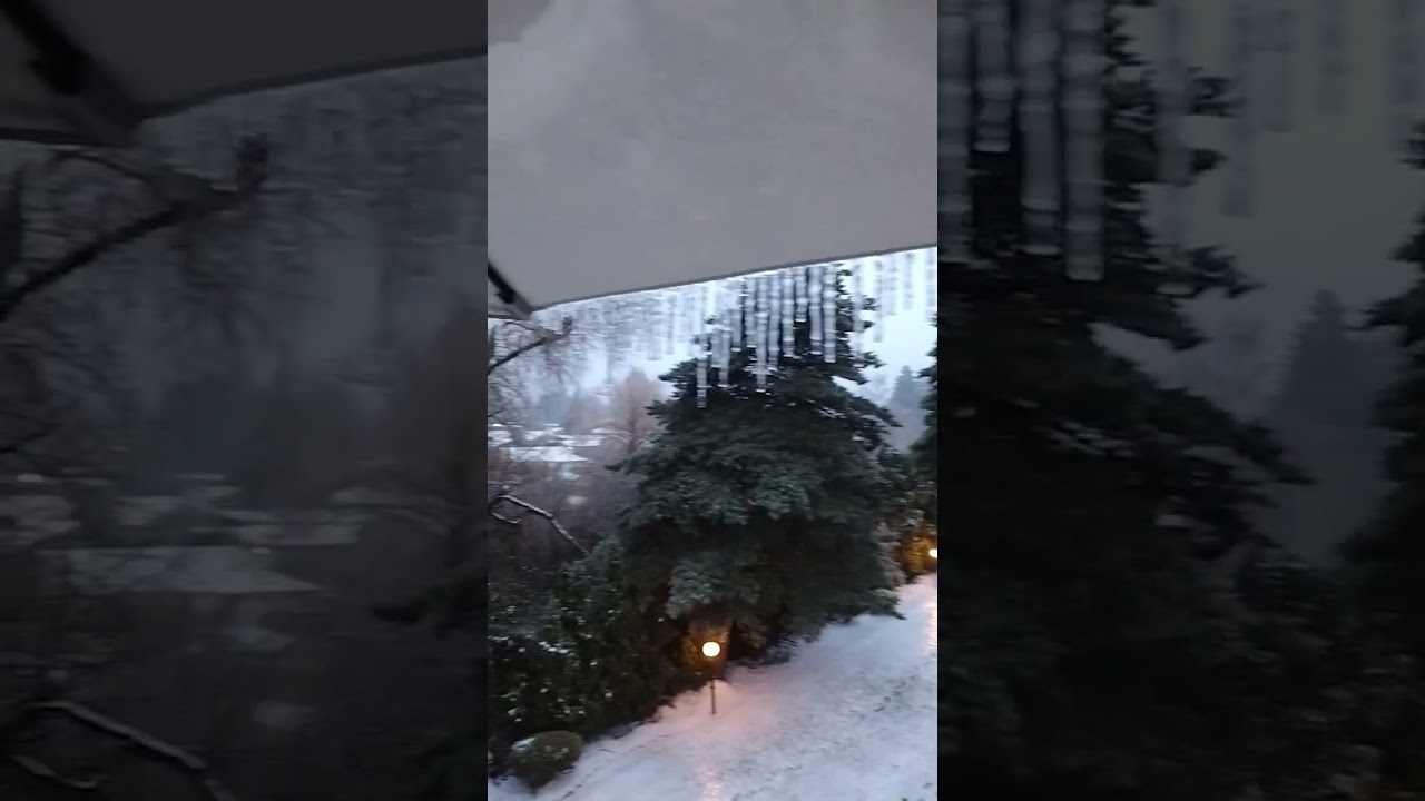 Ice Storm 2024