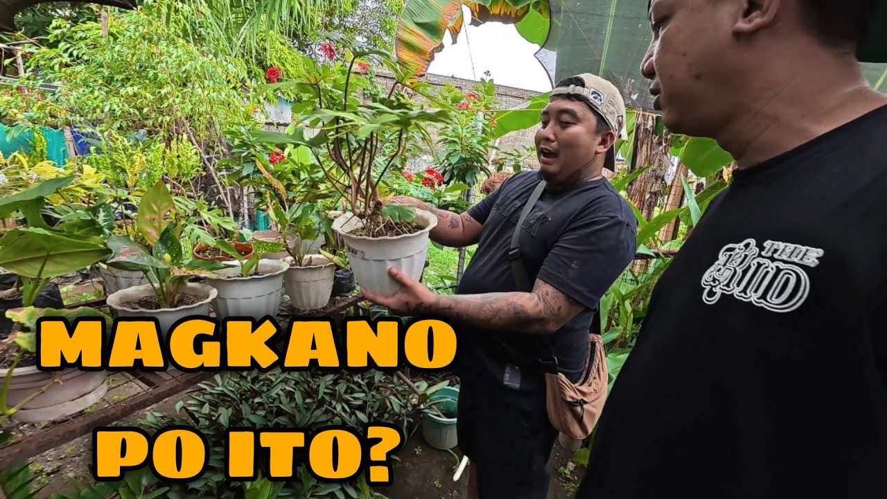 NAMILI NG MGA HALAMAN PARA SA KUBONUTO! 😱