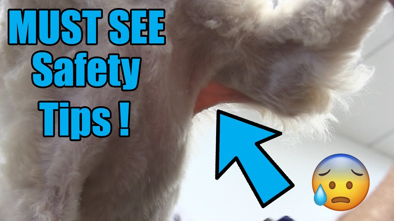 How To Safely Groom Sensitive Areas
