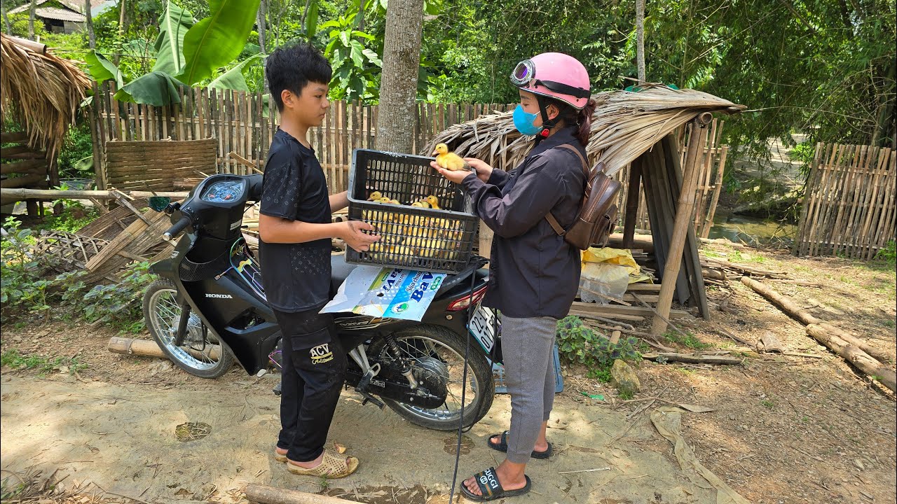 The orphan boy was bought by her sister to raise ducklings, build a duck coop, and marinate the meat