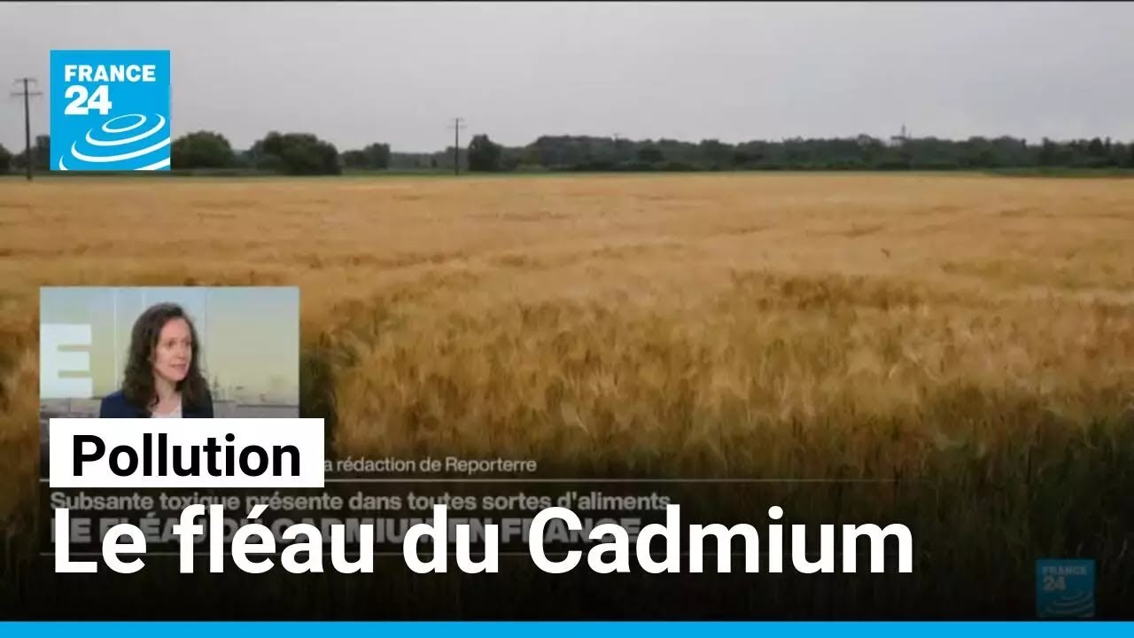 Le fléau du cadmium en France • FRANCE 24