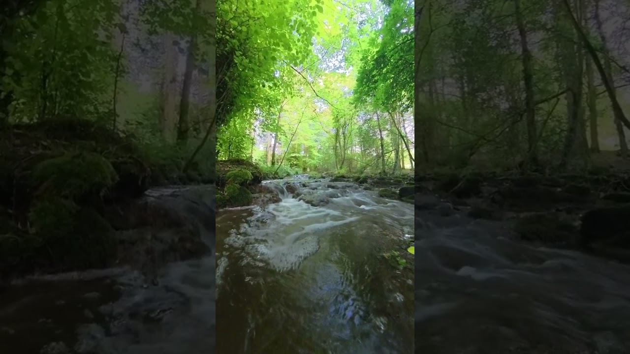 A river uns through it