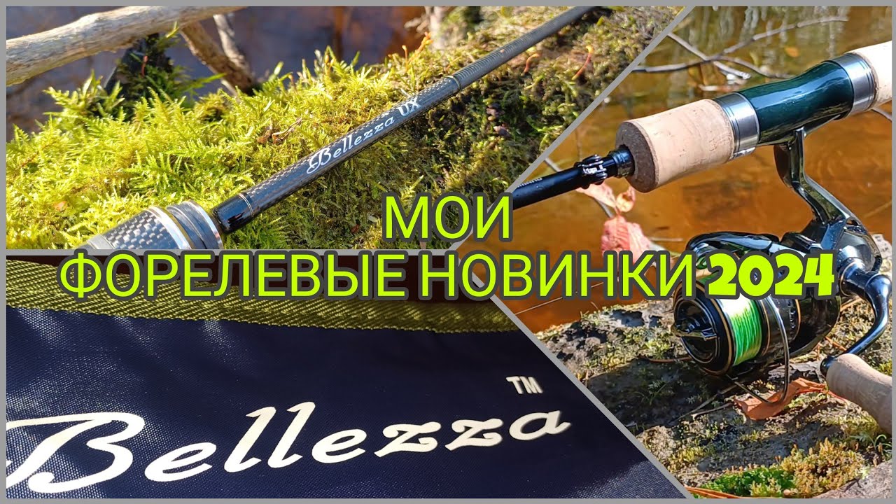 Мои форелевые новинки 2024. Graphiteleader 24 Bellezza ux. Shimano Trout One NS. Shimano cardiff xr.