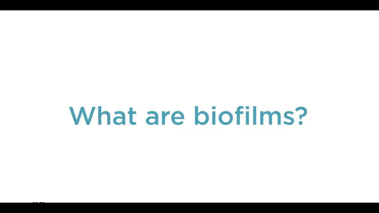What are biofilms?