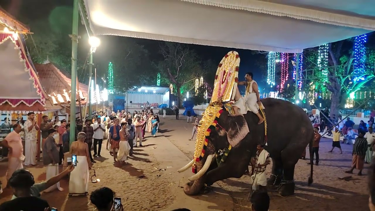 2025 Pallathamkulangara Devi Thidambu Irakkal
