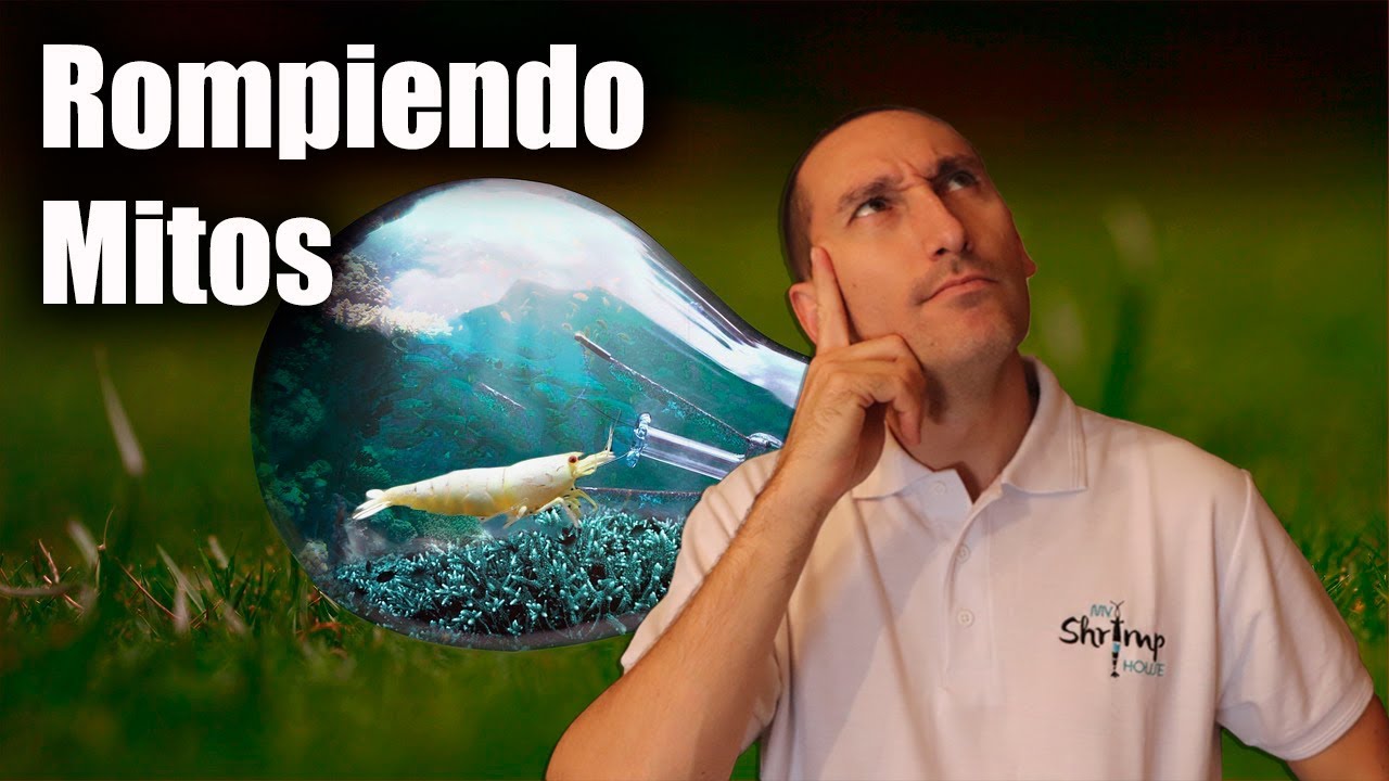 GAMBAS🦐|| Rompiendo Mitos!!