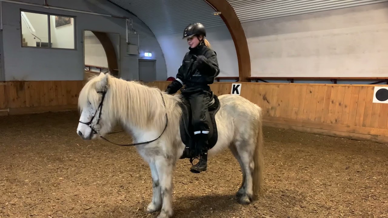 Mjöll frá Tungu