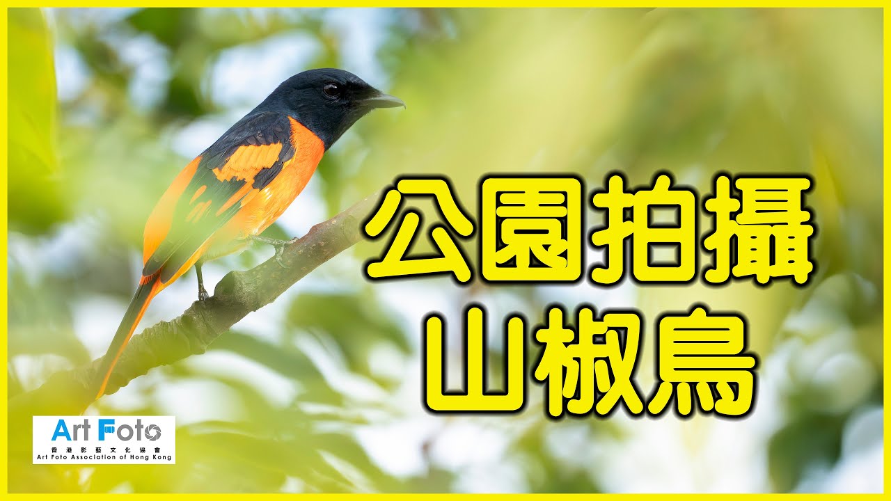 【攝影教學