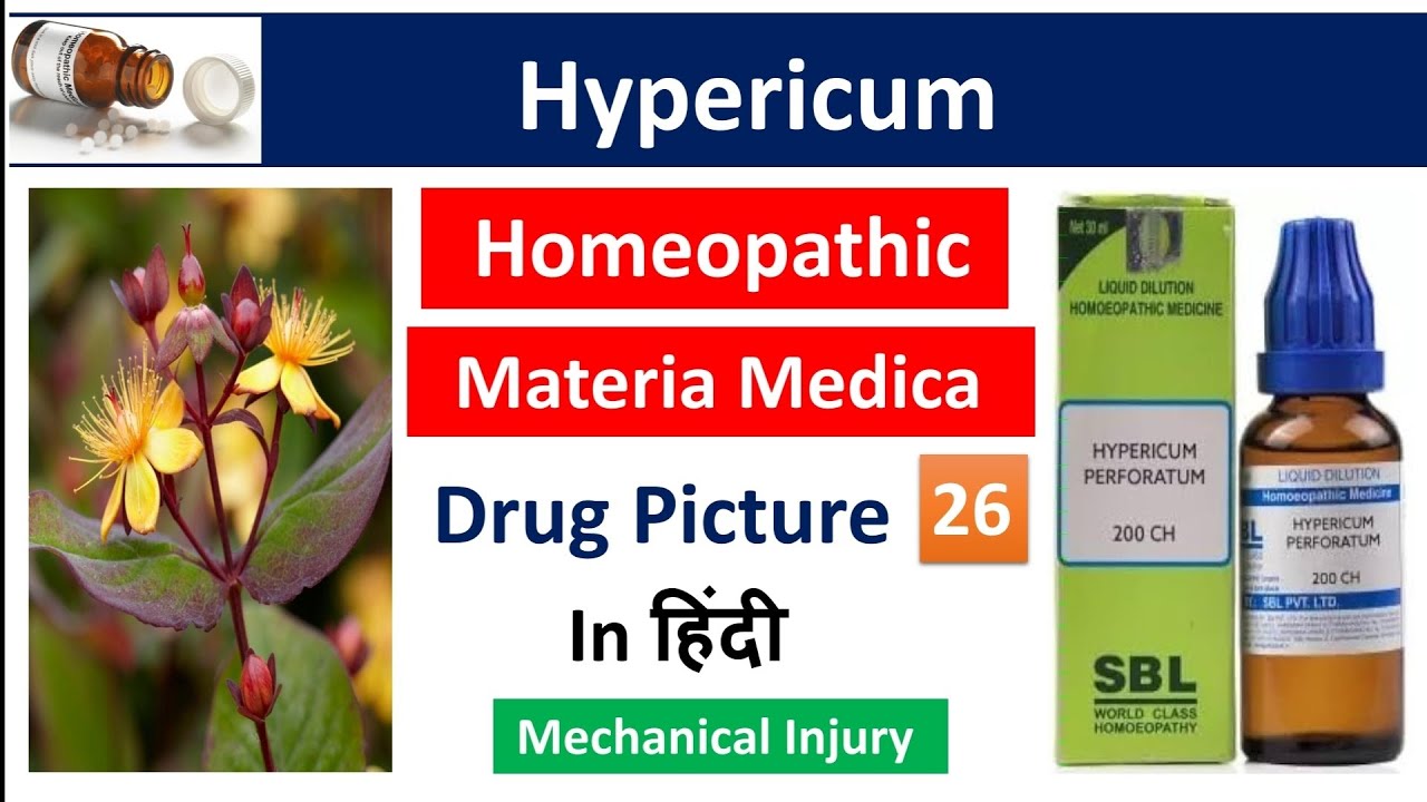 Hypericum Perforatum Homeopathic Medicine in Hindi | Drug Picture | Materia Medica #bhms