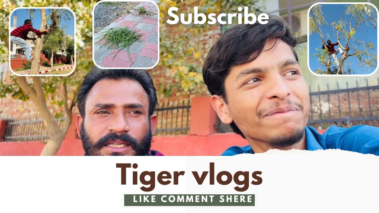 ye bhai bander se bii teej chada paid pe😂shir kuch faliyo ke liye🥴or fir hui personal ￼baat🤫| 29