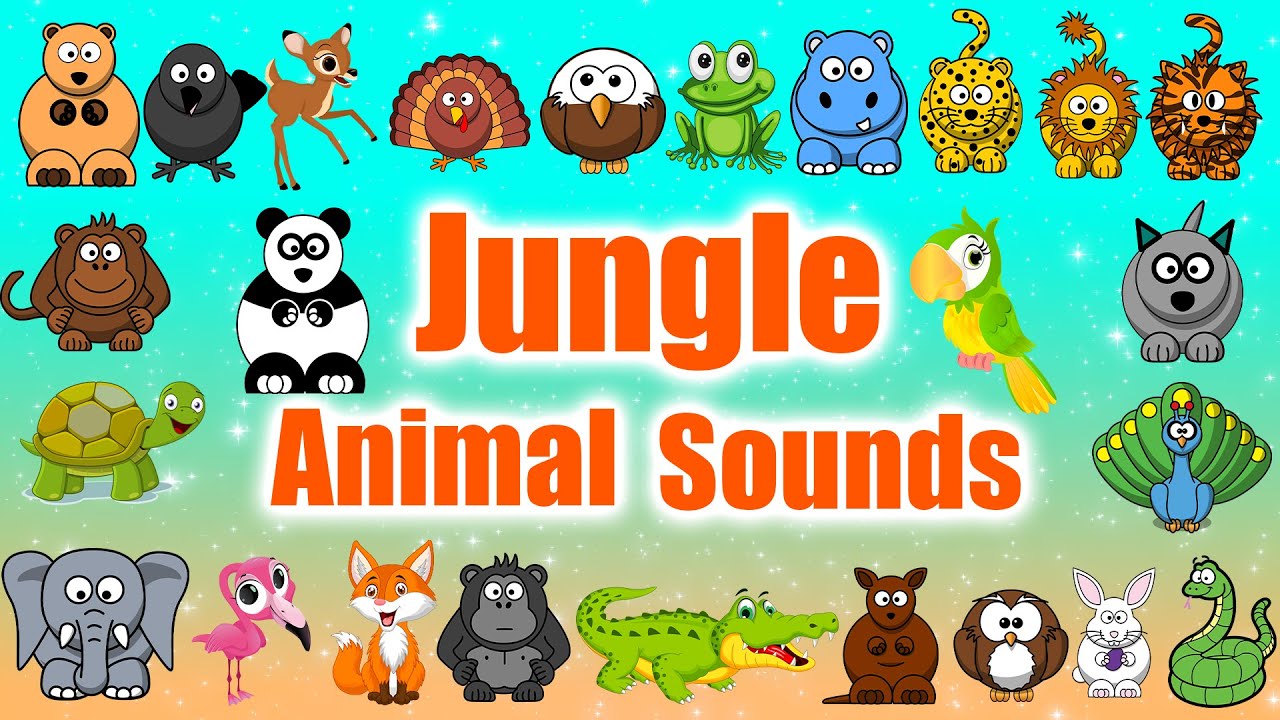 Jungle Animal Sounds 0068 | Animal Sounds for Babies | LittleKidsTV 