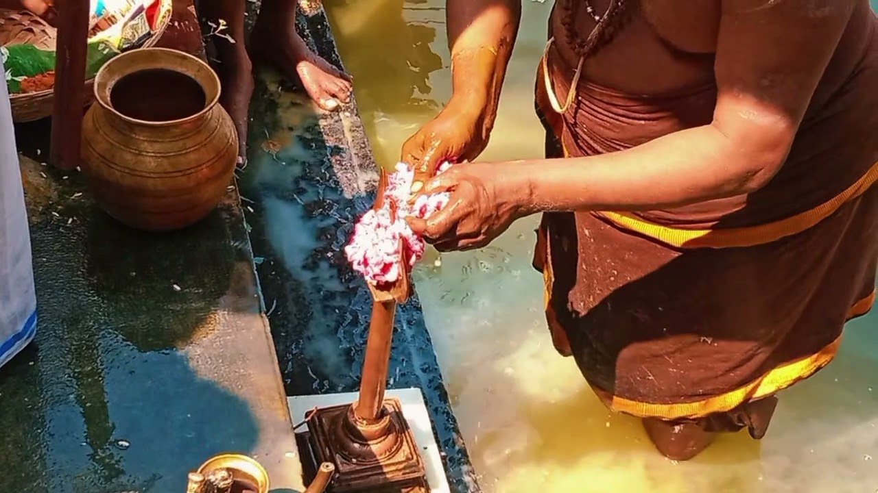 (18.01.2026) தை அமாவாசை தீர்த்தவாரி உற்சவம்  சிவகாமி அம்பாள் உடனுறை  வைத்தியநாத சுவாமி திருக்கோயில் 