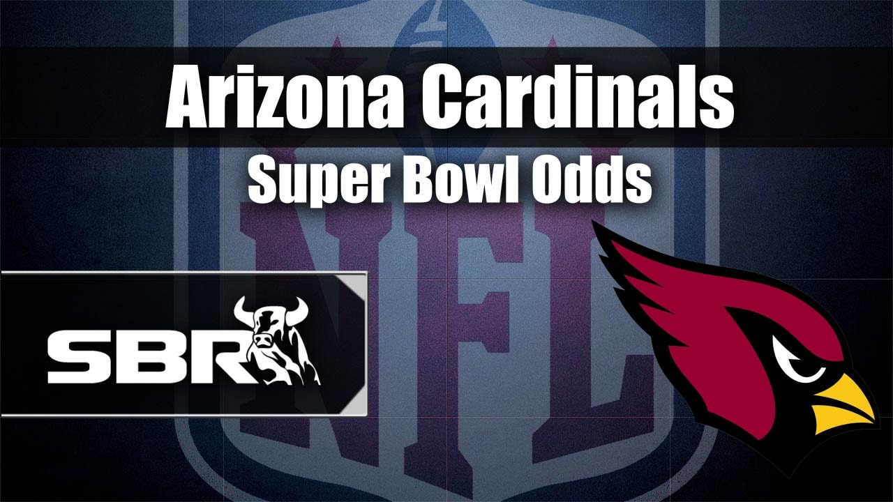 NFL Picks: Arizona Cardinals 2014 NFL Future Odds