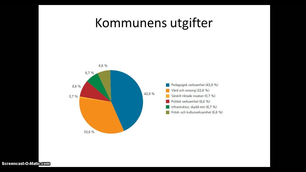 kommunen - s&aring; funkar det