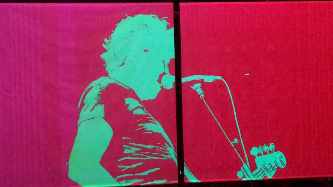 Roger Waters Live in Hamburg- Dogs - Pig - Us and Them Tour 2018
