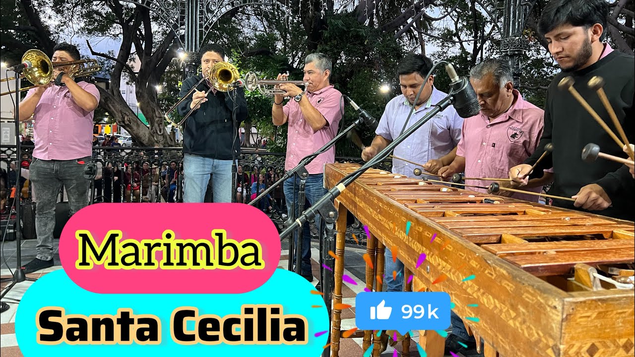 MARIMBA SANTA CECILIA CANCIONES PARQUE DE LA MARIMBA 🇲🇽TUXTLA GUTIÉRREZ CHIAPAS MEXICO MUSICA