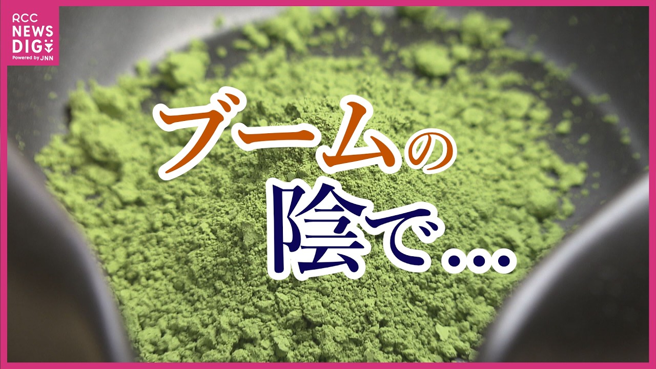 【抹茶】世界的なブームで伸び悩む“生産量”　「仕入れ価格が3倍のものも」仕入れ・生産量確保のために様々な取り組み