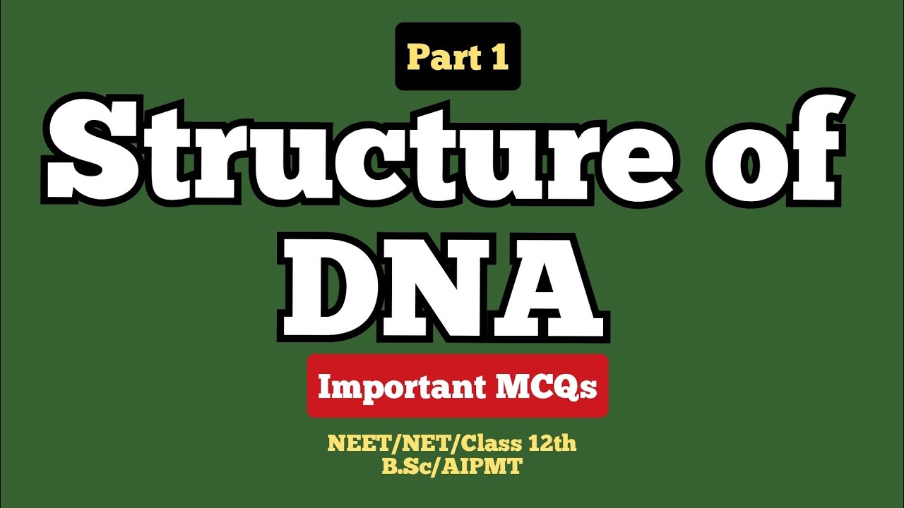 Structure of DNA | Part 1 | MCQs | Biology
