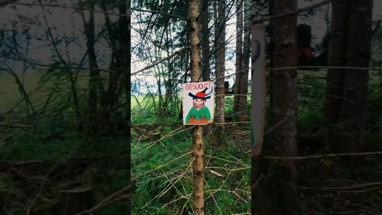 R&auml;uberwald im Wallgauer M&auml;rchenweg. Video von Daniela Reiser