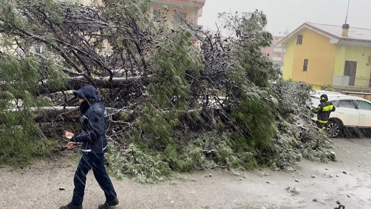 Ondata di maltempo a Vasto e nel Vastese: neve, mancanza di corrente, allagamenti e alberi caduti