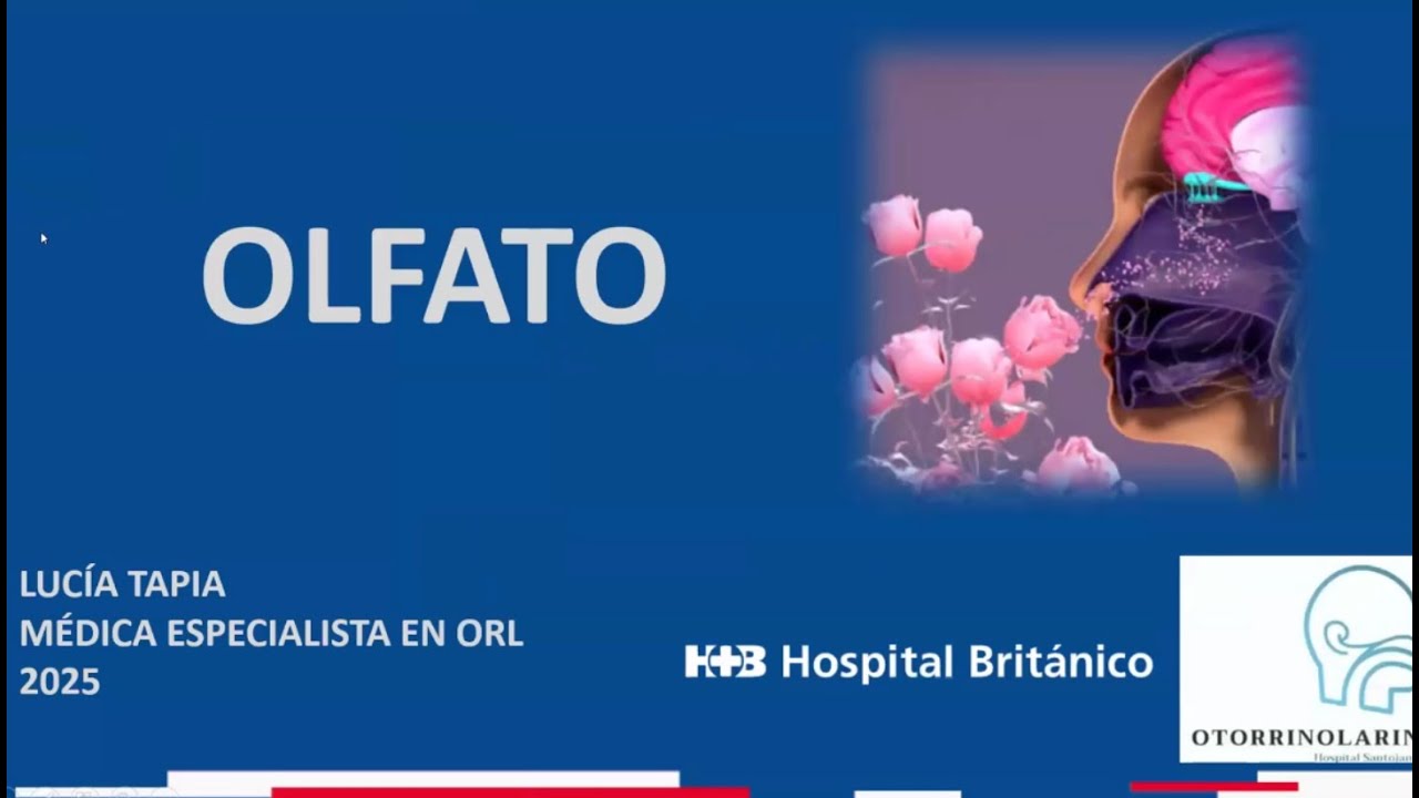 19/8/2025 - Olfato