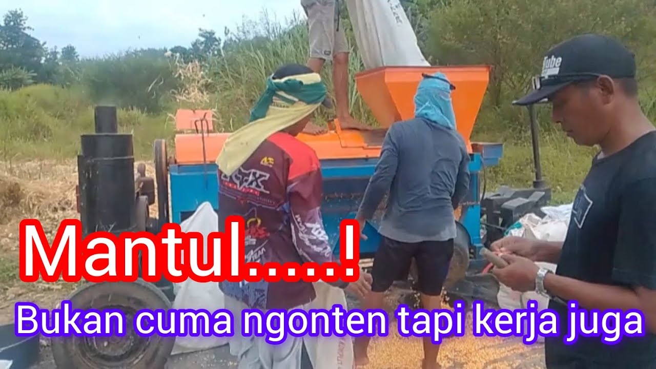 Blower jagung sambil ngonten mantap #fypシ゚viral #viralvideo #blowerjagung