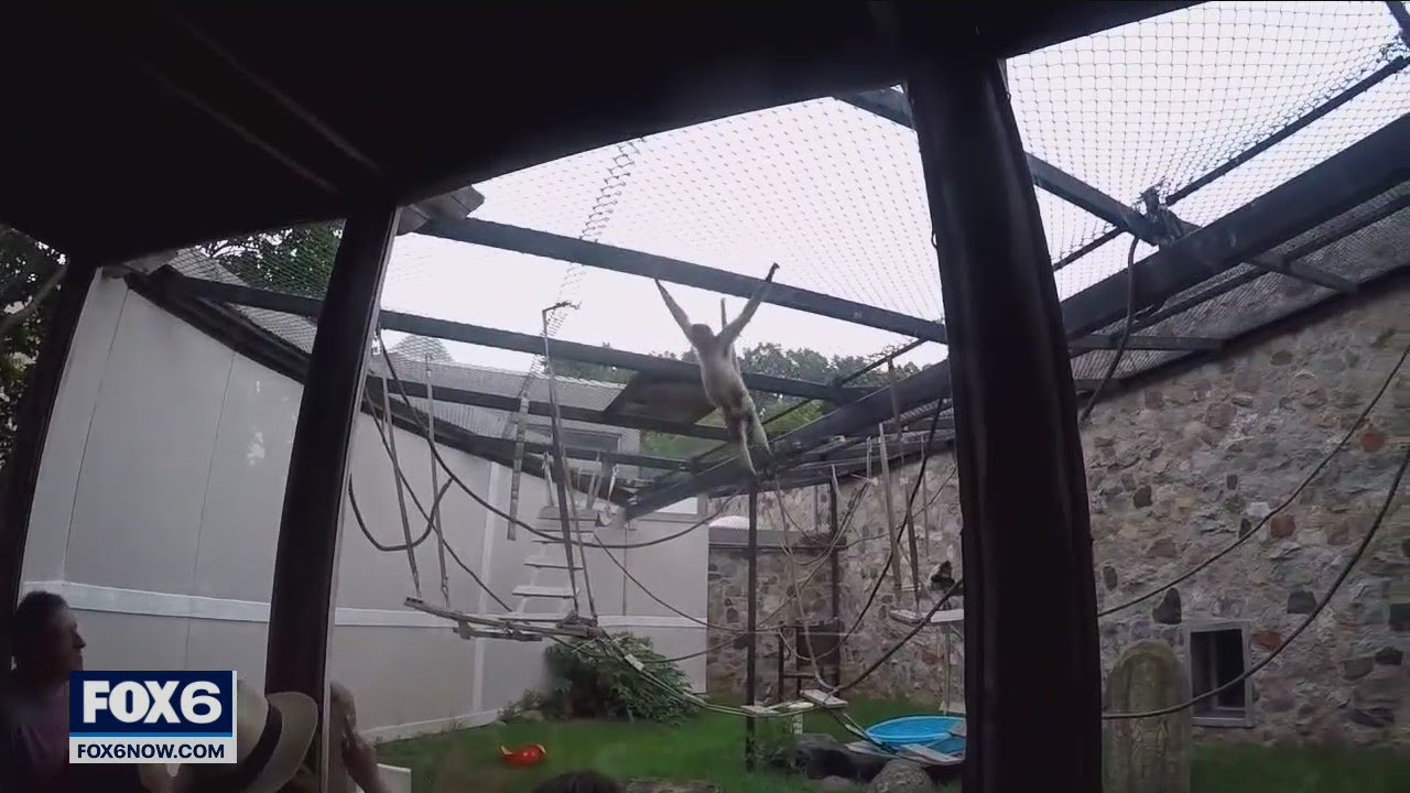 Milwaukee County Zoo behind the scenes | FOX6 News Milwaukee