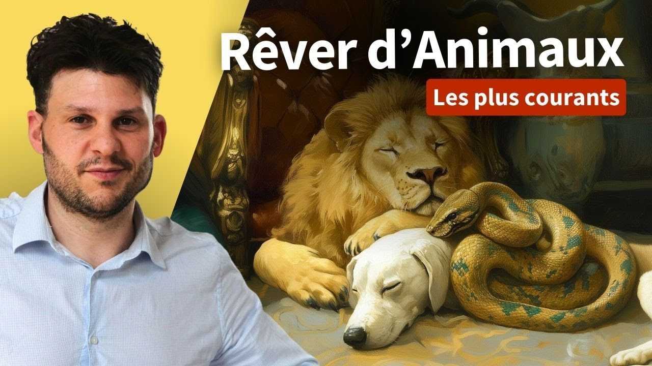 Pourquoi je rêve de ces animaux ? - Signification générale et interprétation