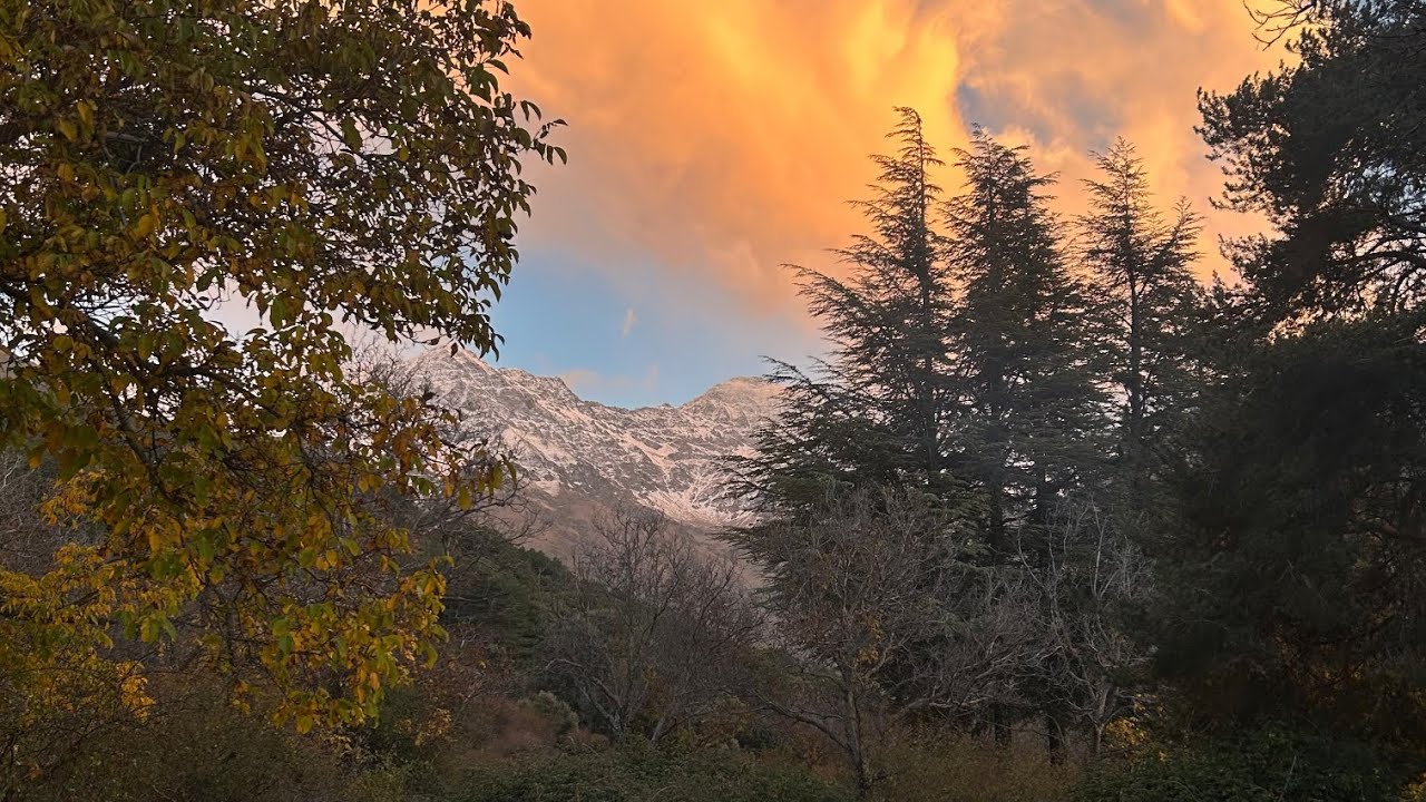 LA VEREDA DE LA ESTRELLA ⭐🏔️ VIVAC #documental #sierranevada #andalucía