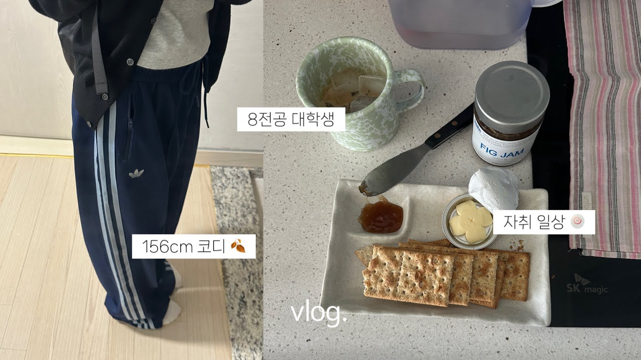 자취 대학생 부이로그👩🏻‍💻 | 가디건 모음. 과제의 늪. 가을 데일리룩 유니클로. ￼지그재그