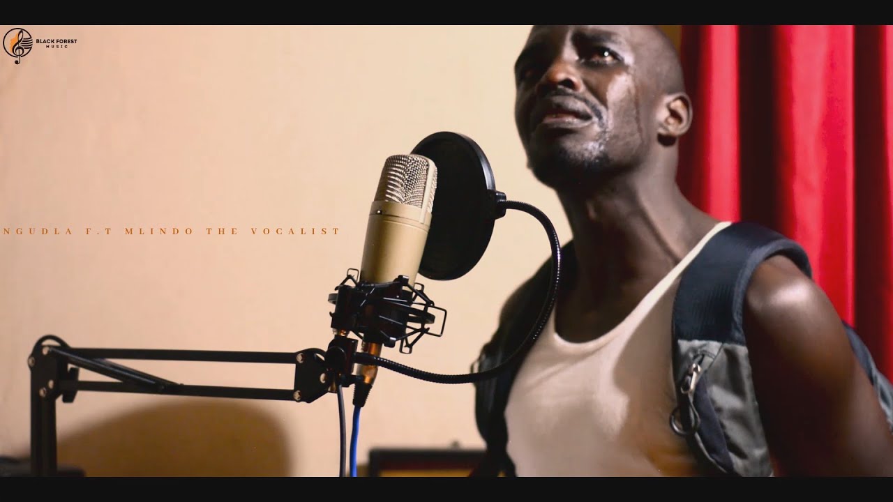 Ngudla f.t Mlindo The Vocalist - Impilo Yam