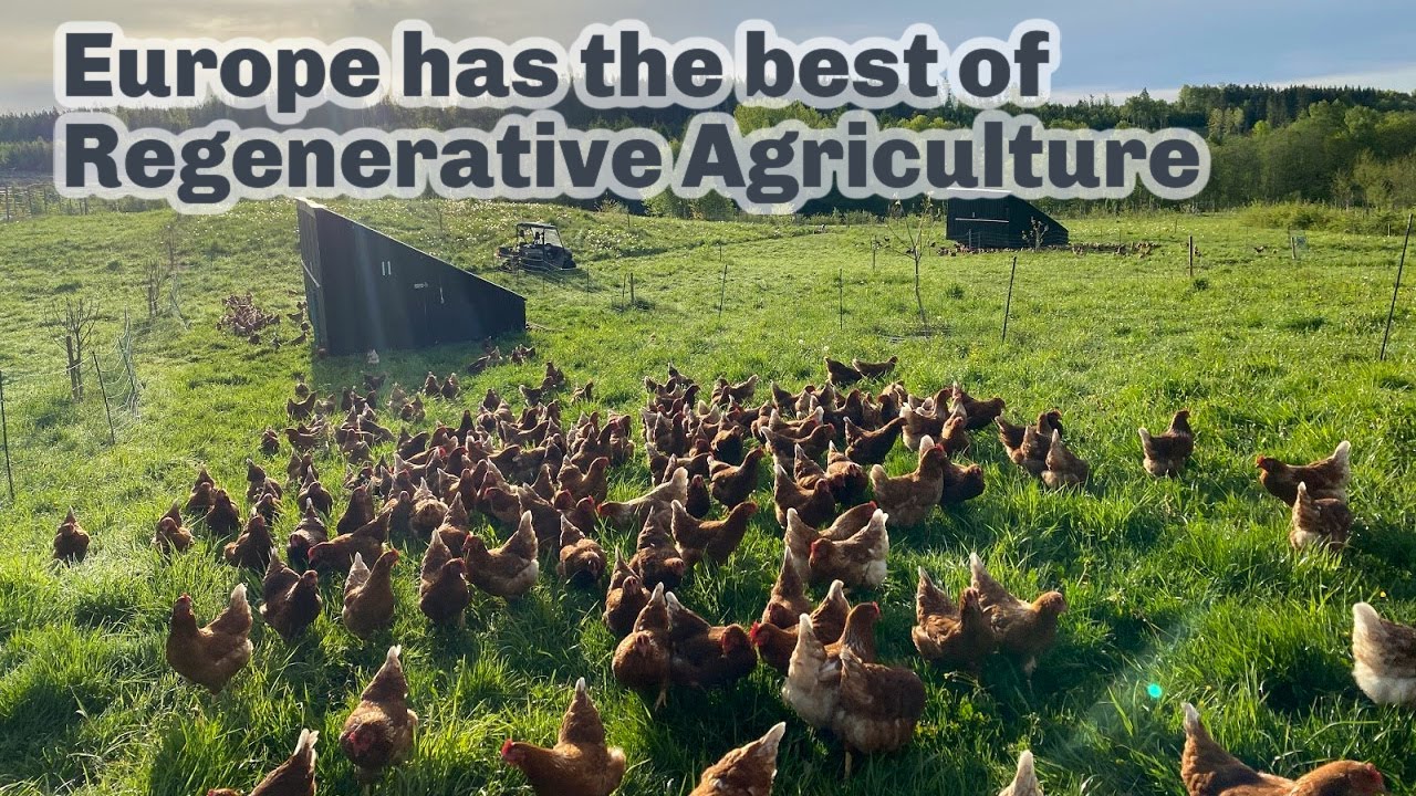 Europe has the best regenerative farmers in the world...