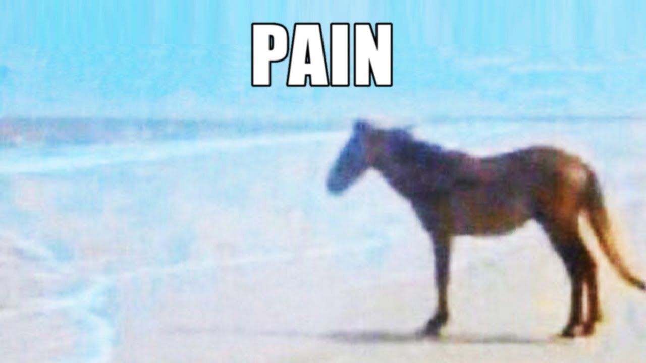 Pain 1993 by Drake and Playboi Carti but it's lofi hip hop radio - beats to relax/study to.