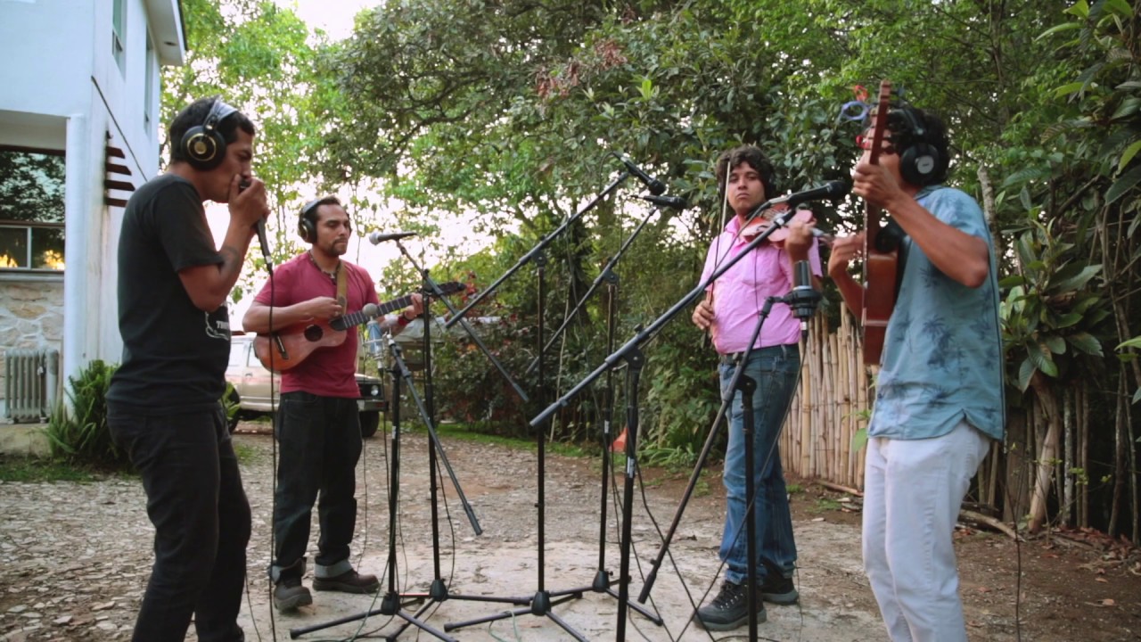 LOS PLATANOS MACHOS - SON JAROCHO - Los Pollos